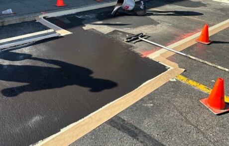 Distribute Catalyzed EcoPath